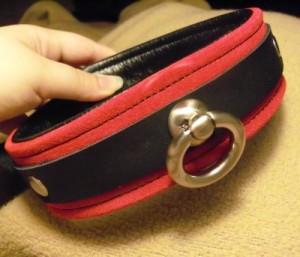 Red and Black Leather Collar Red and Black Leather Collar