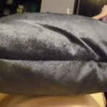 Hide Your Vibe Pillow Review