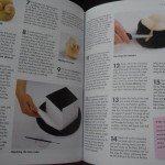 Naughty Cakes Cookbook Book