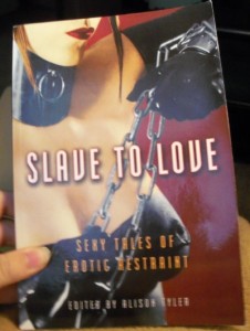 Slave to Love Book