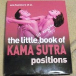 The Naughty Book of Kama Sutra Positions