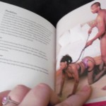 The Little Bit Naughty Book of Sex Toys