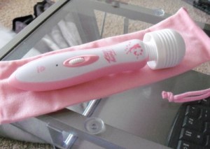 Fairy Rechargeable Wand Massager