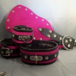 Luxury Pink Slave Collar