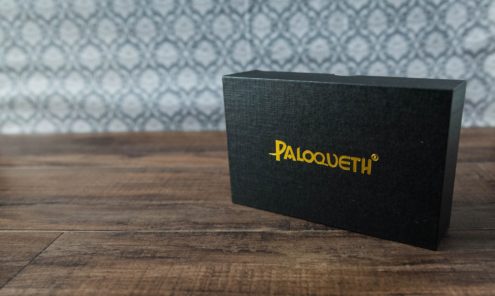 Paloqueth Kegel Balls Set Review