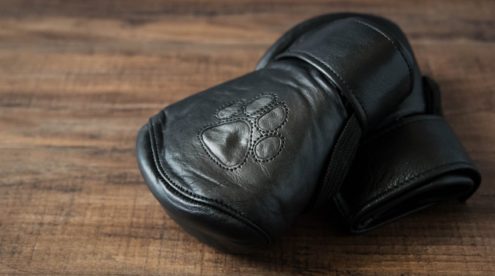 MEO.de Padded Puppy Bondage Mitts Review