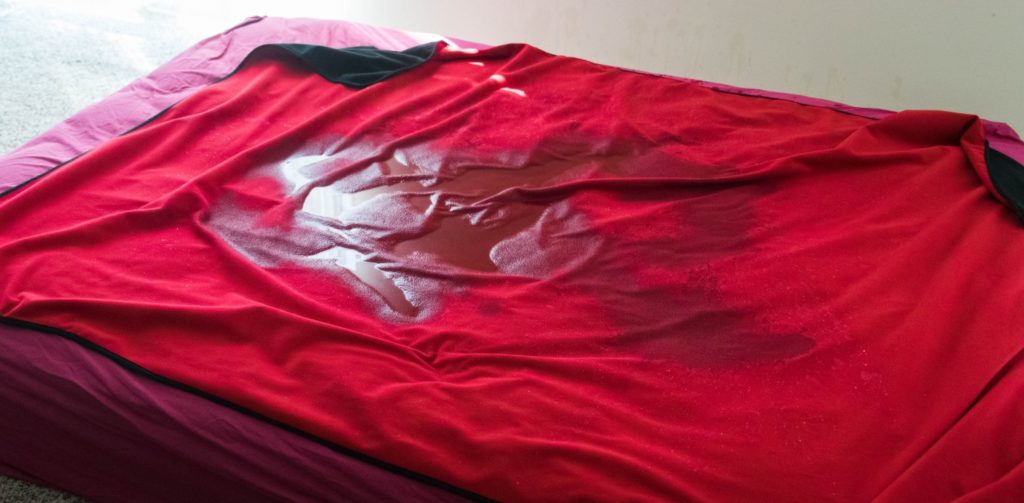 No More Wet Spot Waterproof Sex Blanket Review