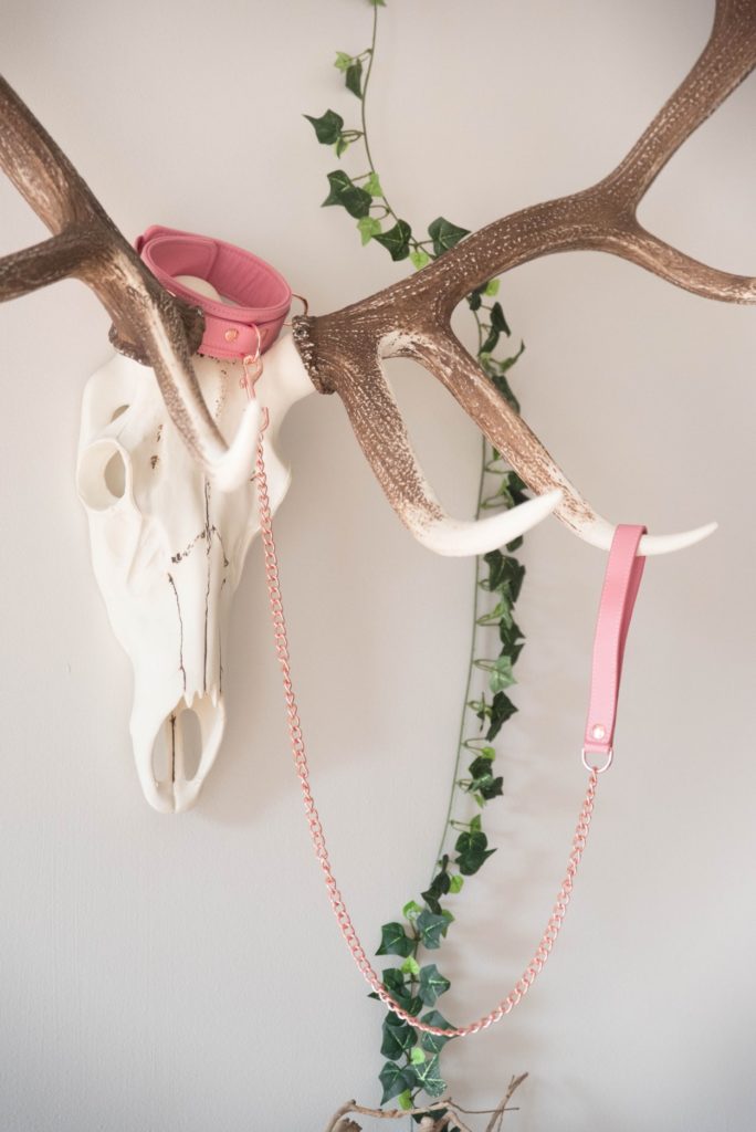 The Liebe Seele Pink Collar with Leash sitting on top of a wall decoration. The collar sits on top of a faux skull with antlers. The leash hangs on one of the ankles while the leash is connected to the collar.