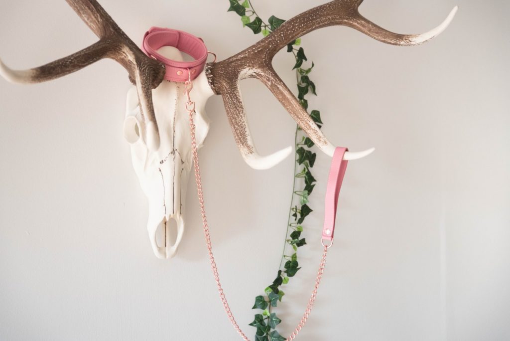 The Liebe Seele Pink Collar with Leash sitting on top of a wall decoration. The collar sits on top of a faux skull with antlers. The leash hangs on one of the ankles while the leash is connected to the collar.