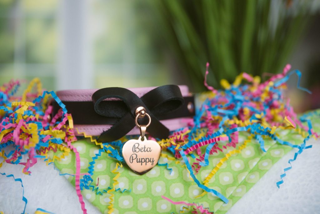 The Pink Mercy Industries Collar sits on top of a bed of colorful, bright confetti. It contrasts beautifully with the green plant and window view in the background. The charm on the front of the pink leather collar (with a black leather bow!) reads "Beta Puppy".