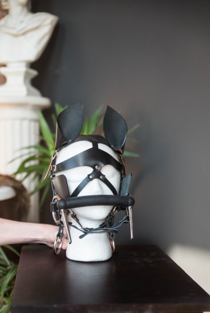 The head harness is positioned on a white styrofoam head alongside a pony play decorative face harness. It all looks like it goes together really well for pony play. For my Meo.de Pony Bridle Head Harness review.