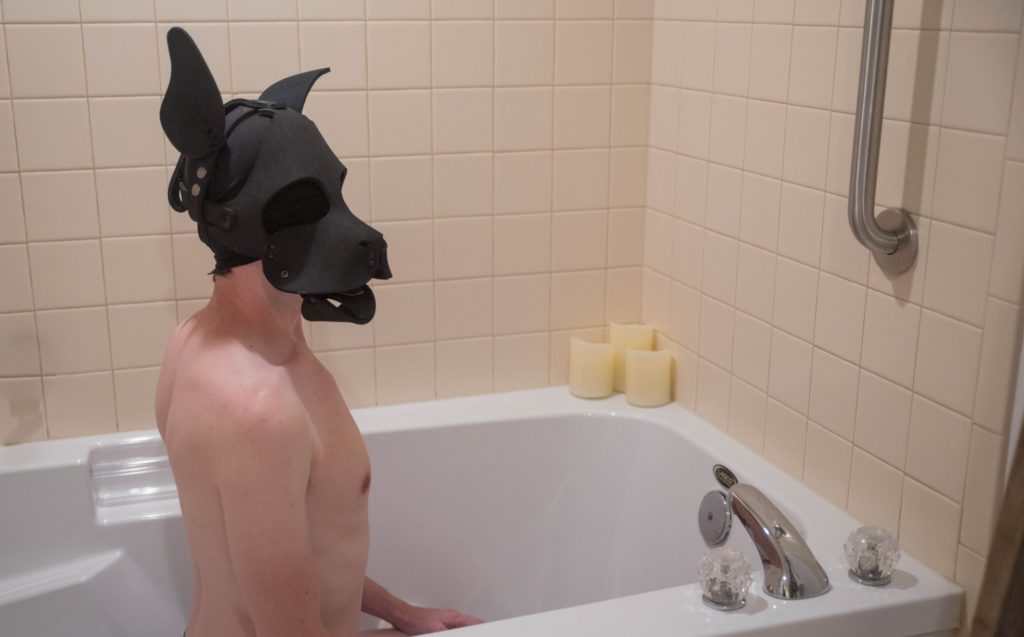 A person in lacey, lingerie panties sits in a bathtub. They're wearing a puppy hood, looking like they're waiting for a bath from their owner. Image for pet play scene ideas article.