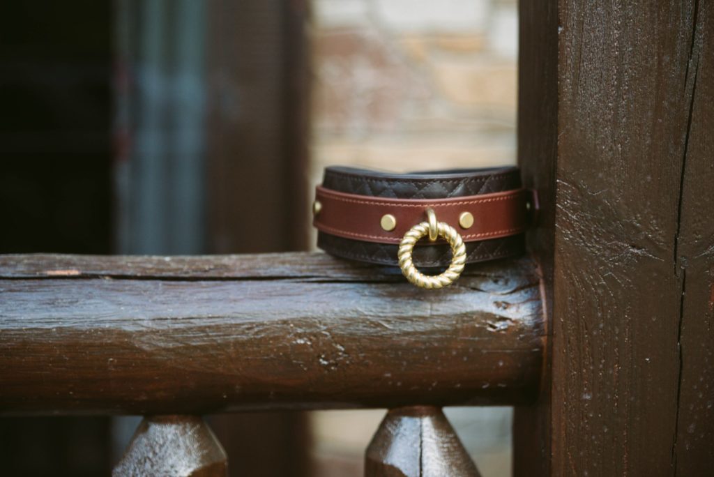 The collar sits on top of a thick, sealed wood fence post. It looks like a themed Western setting for the collar. For my Liebe Seele Equestrian Leather Collar and Leash review.
