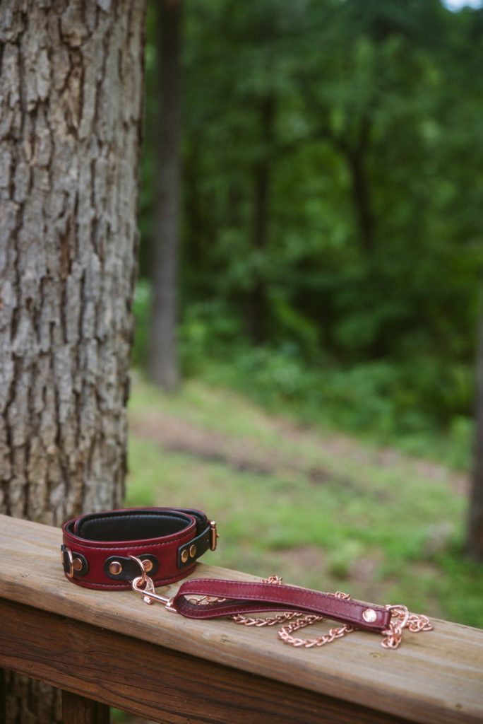 The red collar and leash are laying out on the edge of a wooden banister, in front of green grass and the trunk of a tree. Image for my Noblesse BDSM Leather Collar with Leash review.