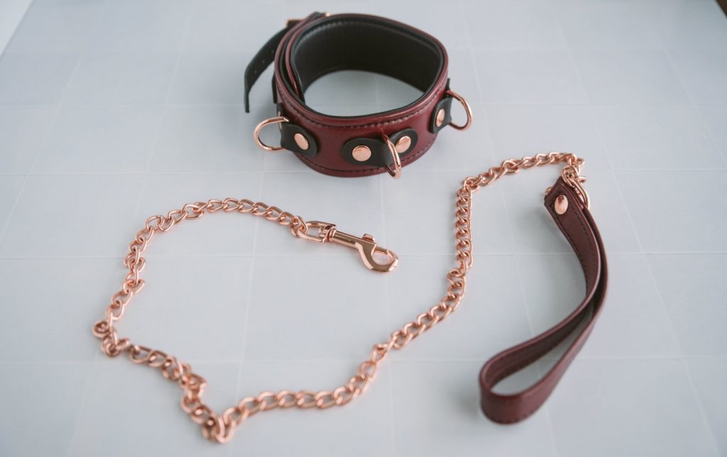 Both the red collar and the red leash lay out on a tiled surface. All three D-rings are sticking out from the collar. The color of the leather and metal perfectly match on both items. Image for my Noblesse BDSM Leather Collar with Leash review.