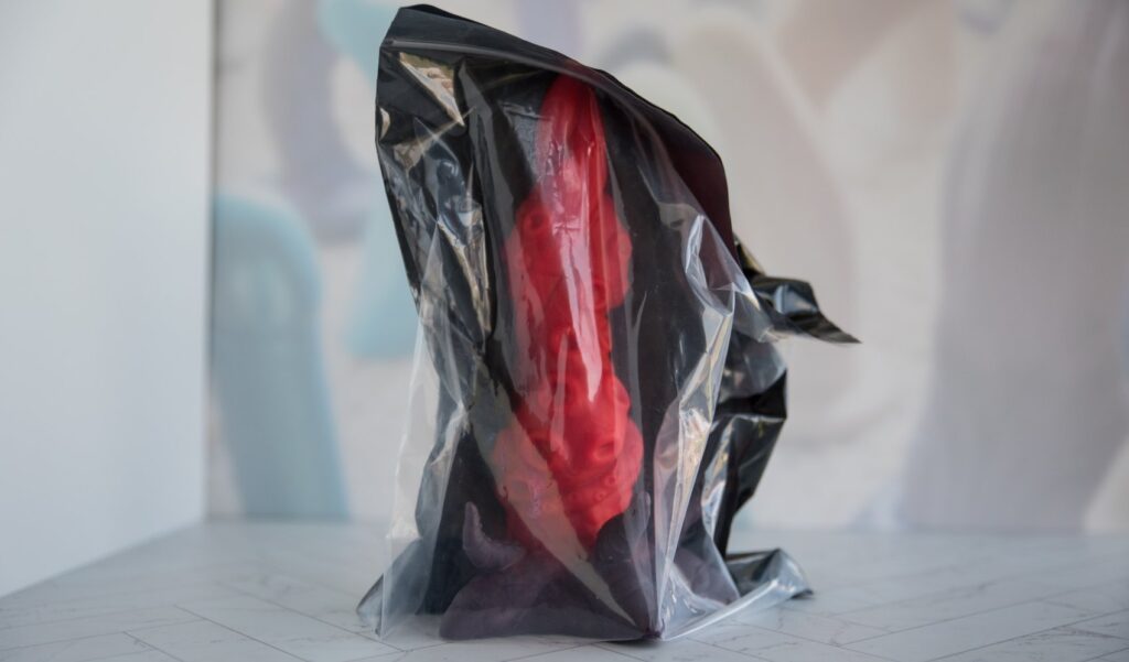 The packaging for the dildo. It's a plain, see-through bag with a zippered top that would allow you to reuse the bag if desired.