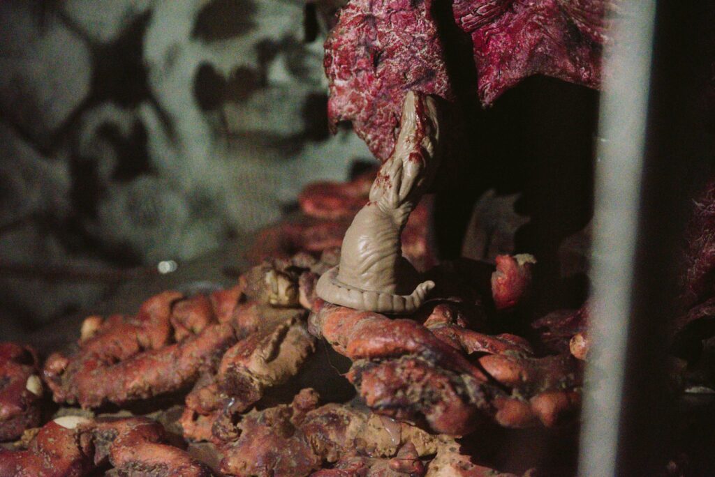 The Lust Buster dildo shown on top of a haunted house's pile of entrails.