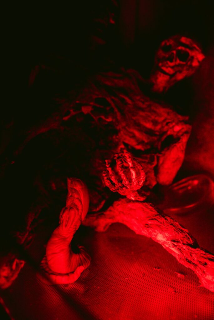 A chest burster look-alike dildo is shown next to a skeleton. The room is entirely dark aside from a spooky red light. For my gore sex toys article.