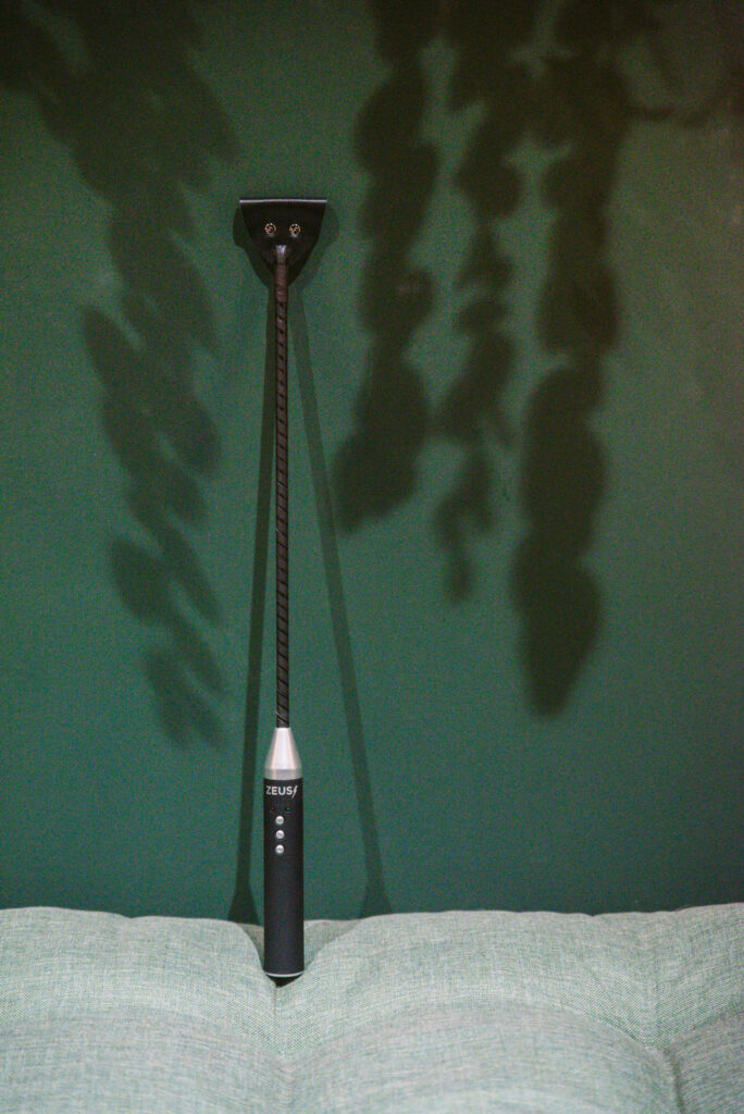 The electrified riding crop shown leaned up against a green wall. The wall has shadowed, plant outlines surrounding the height of the crop. For my Dr. Sado e-Stim Crop review.